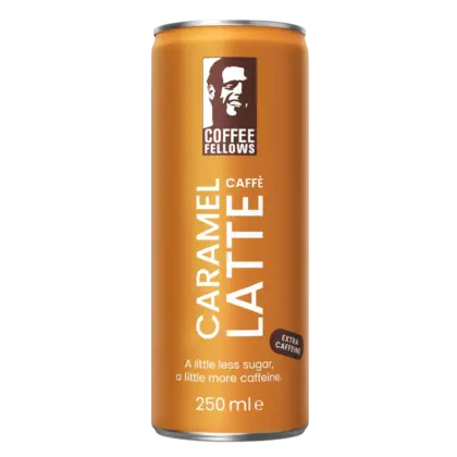 Moloko Coffee Fellows - Caramel Caffè Latte 24x0,25L