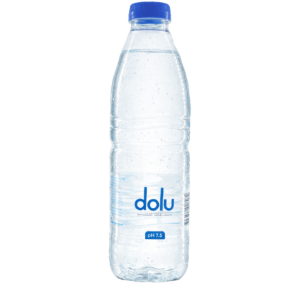 Dolu Naturell 24x0,5 L EXPORT
