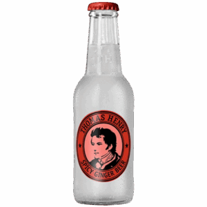 Thomas Henry Spicy Ginger 24x0,2 L